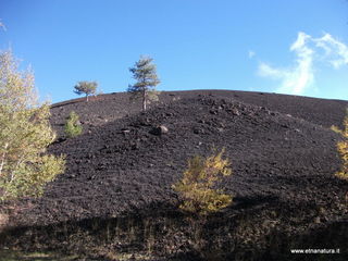nti Sartorius-01-11-2012 10-00-38